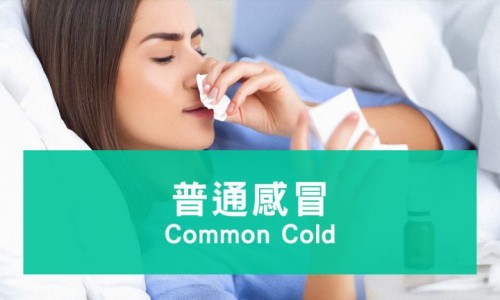 三九感冒颗粒多少钱一盒-三九感冒灵颗粒 粉末网 - 网站提供三九感冒灵颗粒主要成分是什么小常识、三九感冒灵颗粒 粉末怎么喝