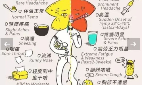 三九感冒颗粒多少钱一盒-三九感冒灵颗粒 粉末网 - 网站提供三九感冒灵颗粒主要成分是什么小常识、三九感冒灵颗粒 粉末怎么喝